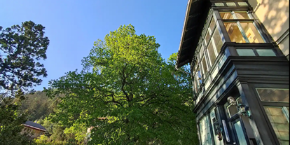 Pensionen - Garten - Klostertal - Front - Villa Petterhof 