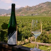 Frühstückspension - Blick von der Terrasse Richtung Dürnstein - Weingut Granner