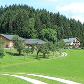 Frühstückspension - Unser kinderfreundlicher Biobauernhof befindet sich am Waldrand ca. 2 km außerhalb des Ortes Göstling an der Ybbs. - Biobauernhof Poidlbauer