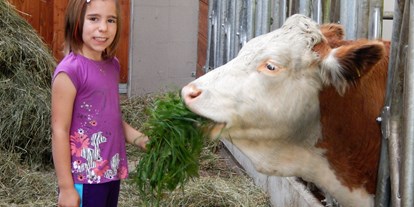 Pensionen - Garten - Göstling an der Ybbs - Im Milchviehstall leben ganzjährig die Kühe, Kälber und die Katzen. - Biobauernhof Poidlbauer