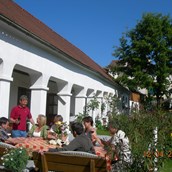 Frühstückspension - gemütlicher ruhiger Arkadenhof zum Entspannen und Wein verkosten - Weingut Bohrn