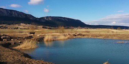 Pensionen - Umgebungsschwerpunkt: Berg - Niederösterreich - ein Biotop in der Nähe - Haus Bergblick