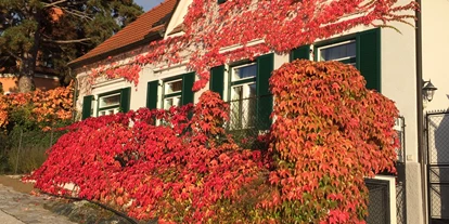 Pensionen - Wanderweg - Grillenhöfe - Unser Haus im Herbst - Gästehaus am Steindl