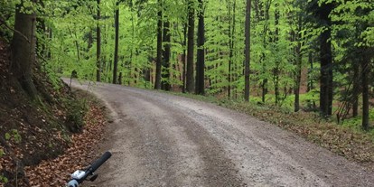 Pensionen - Garage für Zweiräder - PLZ 3021 (Österreich) - In unserem heimischen Wald - Der Wienerwald! - Hof Rotherd 