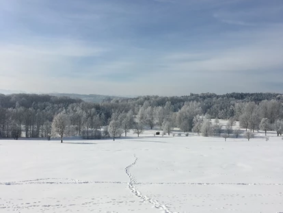 Pensionen - Balkon - Höhenkirchen-Siegertsbrunn - Traumlandschaft im Winter
Aufgenommen in Zaißing 2020 - Pension am Weberhof