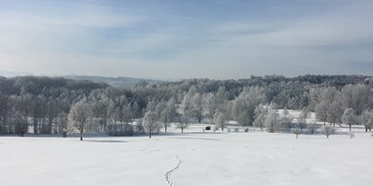 Pensionen - Art der Pension: Urlaub am Bauernhof - Traumlandschaft im Winter
Aufgenommen in Zaißing 2020 - Pension am Weberhof