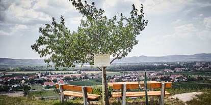 Pensionen - Garage für Zweiräder - Donauraum - Blick vom Weinberg auf Rohrendorf - Schmankerl und Gast Familie Heiderer