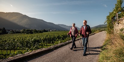 Pensionen - Art der Pension: Weingut mit Zimmervermietung - Weingut u. Gästehaus Bernhard