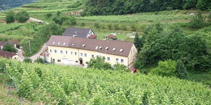 Pensionen - Fahrradverleih - St. Pölten - Weinbau Weidenauer - Weinbau & Gästezimmer Weidenauer