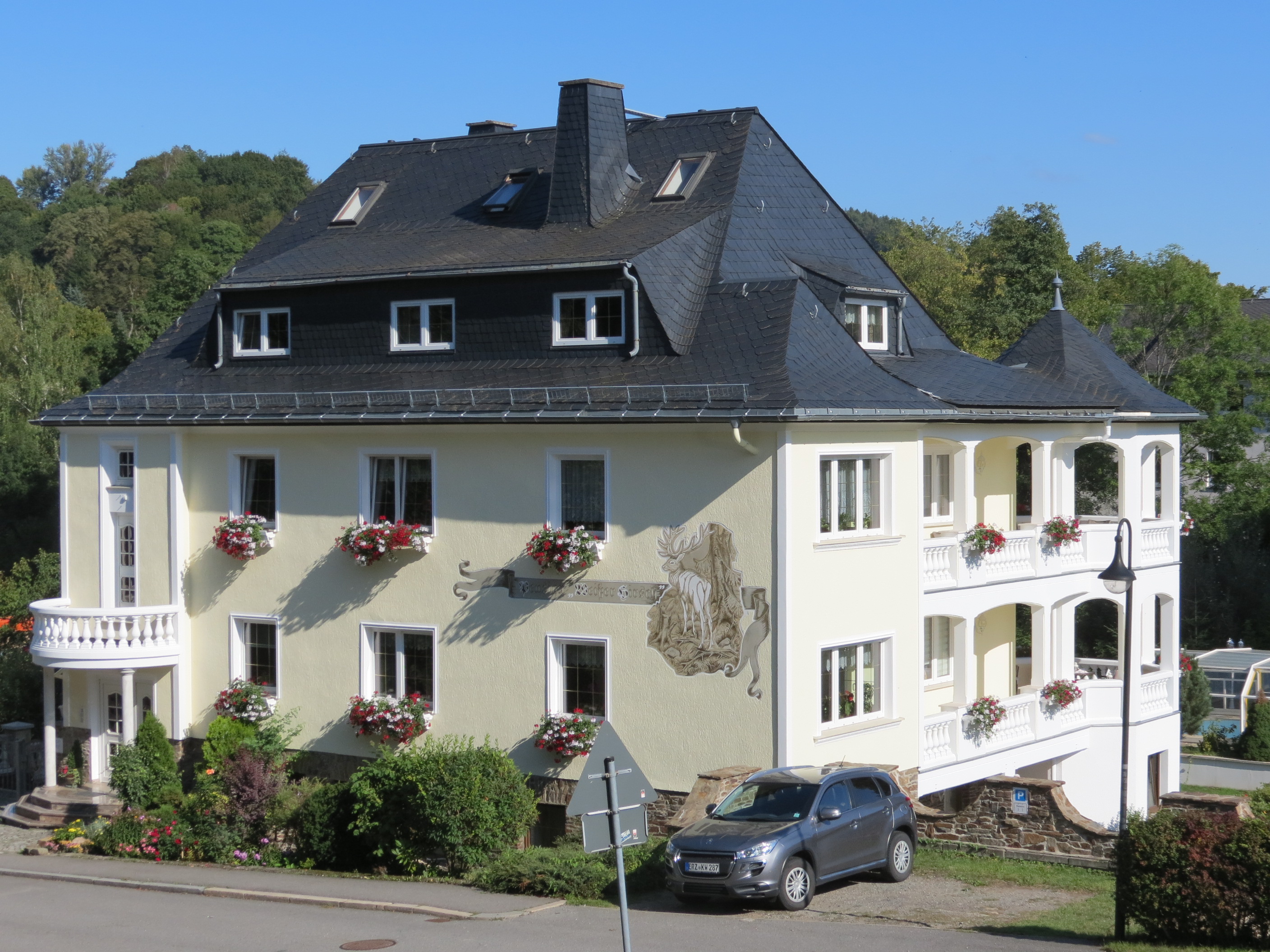 Frühstückspension - Pension Weißer Hirsch 