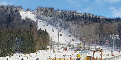 Pensionen - Haslach an der Mühl - Skigebiet-Hochficht - CHALEX