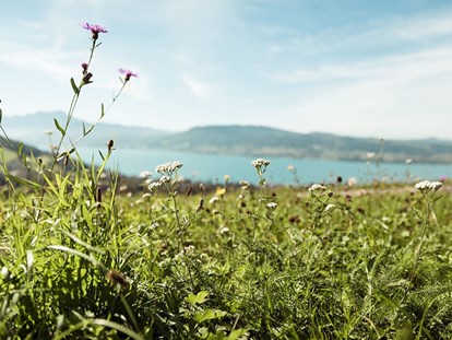 Pensionen - Umgebungsschwerpunkt: See - Erlat - Inmitten von Feldern und Wiesen am wunderschönen Wachtberg mit Blick auf den Attersee - Florineum