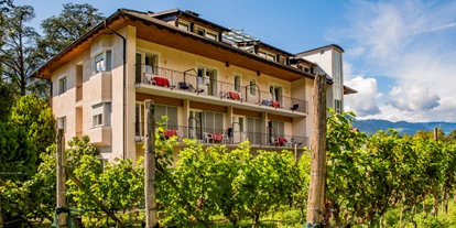 Pensionen - WLAN - Blumau (Trentino-Südtirol) - Außenansicht - Weingarten Terlan - Rooms & Breakfast