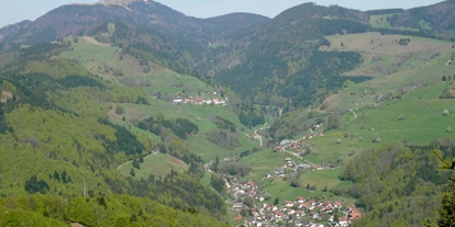 Pensionen - Umgebungsschwerpunkt: Berg - Friedenweiler - Haus Inge am Belchen im Südschwarzwald
