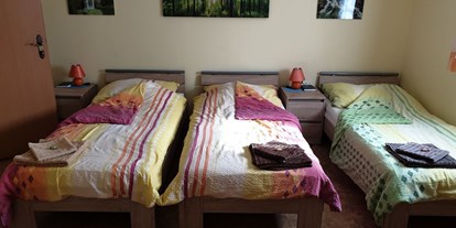 Pensionen - Prigglitz - Schlafraum mit drei Einzelbetten - Appartment Robert