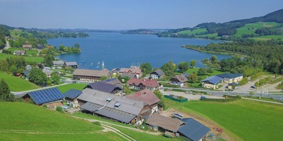 Pensionen - Höhnhart - Der Ausblick über unsere Pension hinweg auf den Obertrumer See - Pension Fischerhof