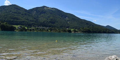 Pensionen - Umgebungsschwerpunkt: See - Stockham (Straßwalchen) - Blick vom privaten Badeplatz Richtung Filbling - Pension Salzburger Hof