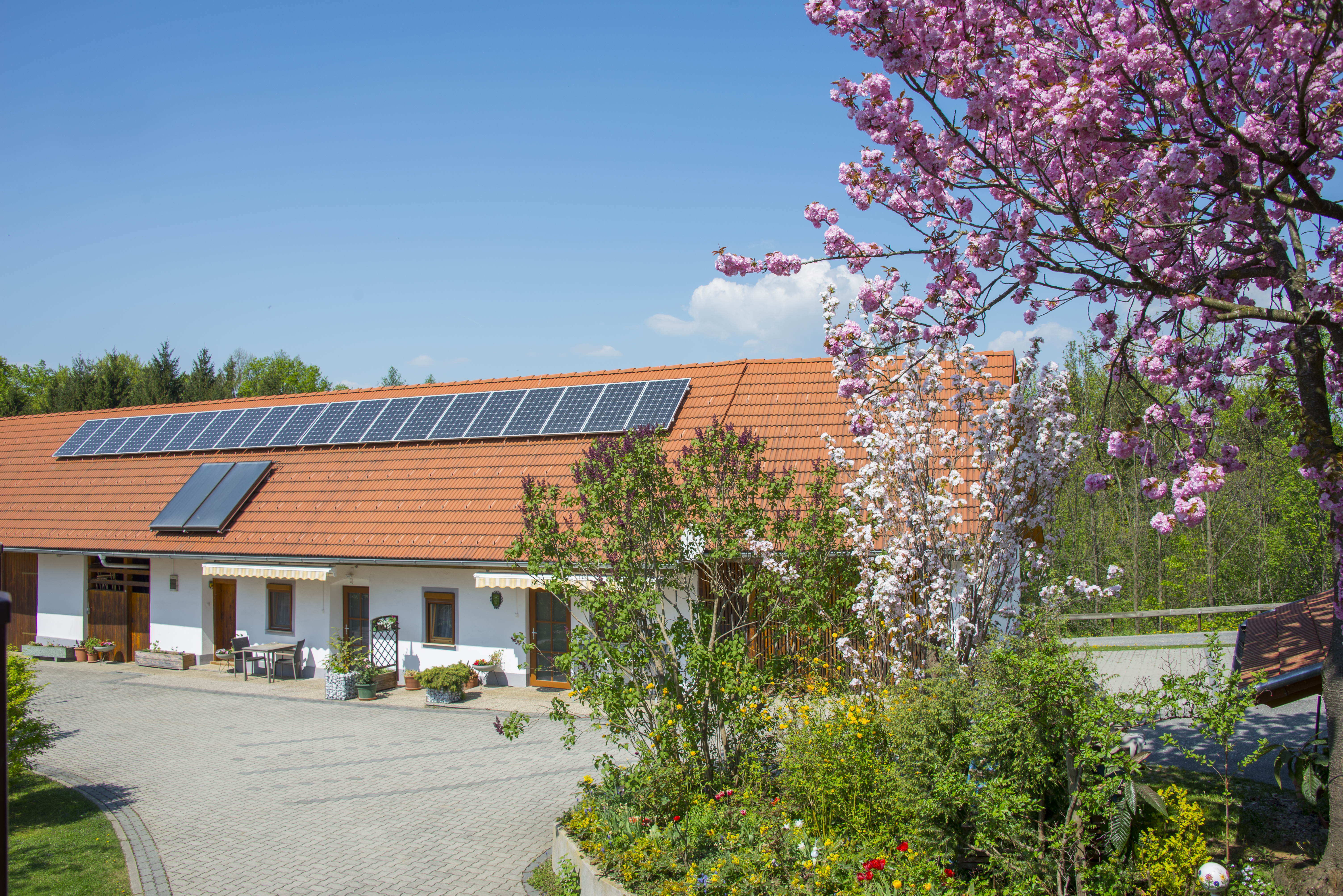 Frühstückspension - Unsere ebenerdigen Ferienwohnungen begeistern vor allem Senioren. Die herrliche Ruhe und die unberührte Natur gibt vielen Gästen wieder neue Kraft für ihren Alltag. - Ferienwohnungen Pachler-Leopold