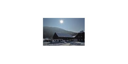 Pensionen - Umgebungsschwerpunkt: See - Obertressen - Wintersonne - Ferienhaus Eckhart