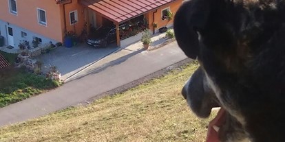 Pensionen - Hunde: hundefreundlich - Kärnten - Ferienwohnung Drautalblick