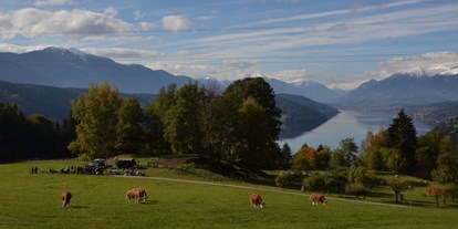 Pensionen - Kühlschrank - Steindorf am Ossiacher See - Aussicht Bauernhof - Millstättersee - Fewo-Haupt