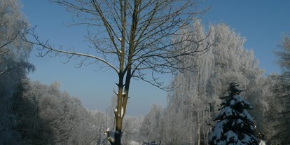 Pensionen - Langlaufloipe - Schwarzenbach an der Saale - Unser Garten im Winter - Landhaus am Forst