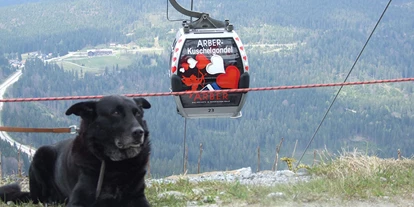 Pensionen - Umgebungsschwerpunkt: Berg - Lindberg - Gondel auf den Großen Arber - Pension Sonnleit´n - Ihr Urlaub mit Hund 