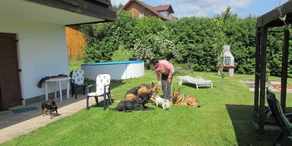 Pensionen - Deutschland - Garten und Hundepool - Pension Sonnleit´n - Ihr Urlaub mit Hund 