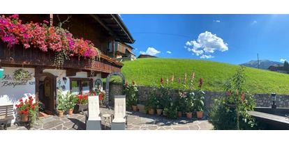 Pensionen - Ried im Zillertal - Bergwald Alpbach Appartements