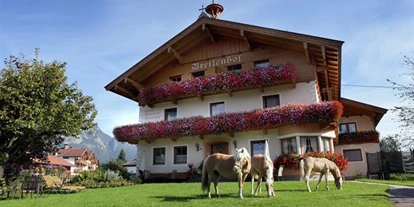 Pensionen - Umgebungsschwerpunkt: Berg - Brixen im Thale - Breitenhof