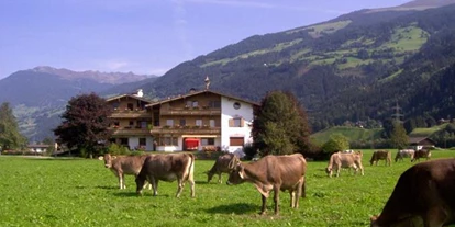 Pensionen - Umgebungsschwerpunkt: Fluss - Tirol - Klausnerhof