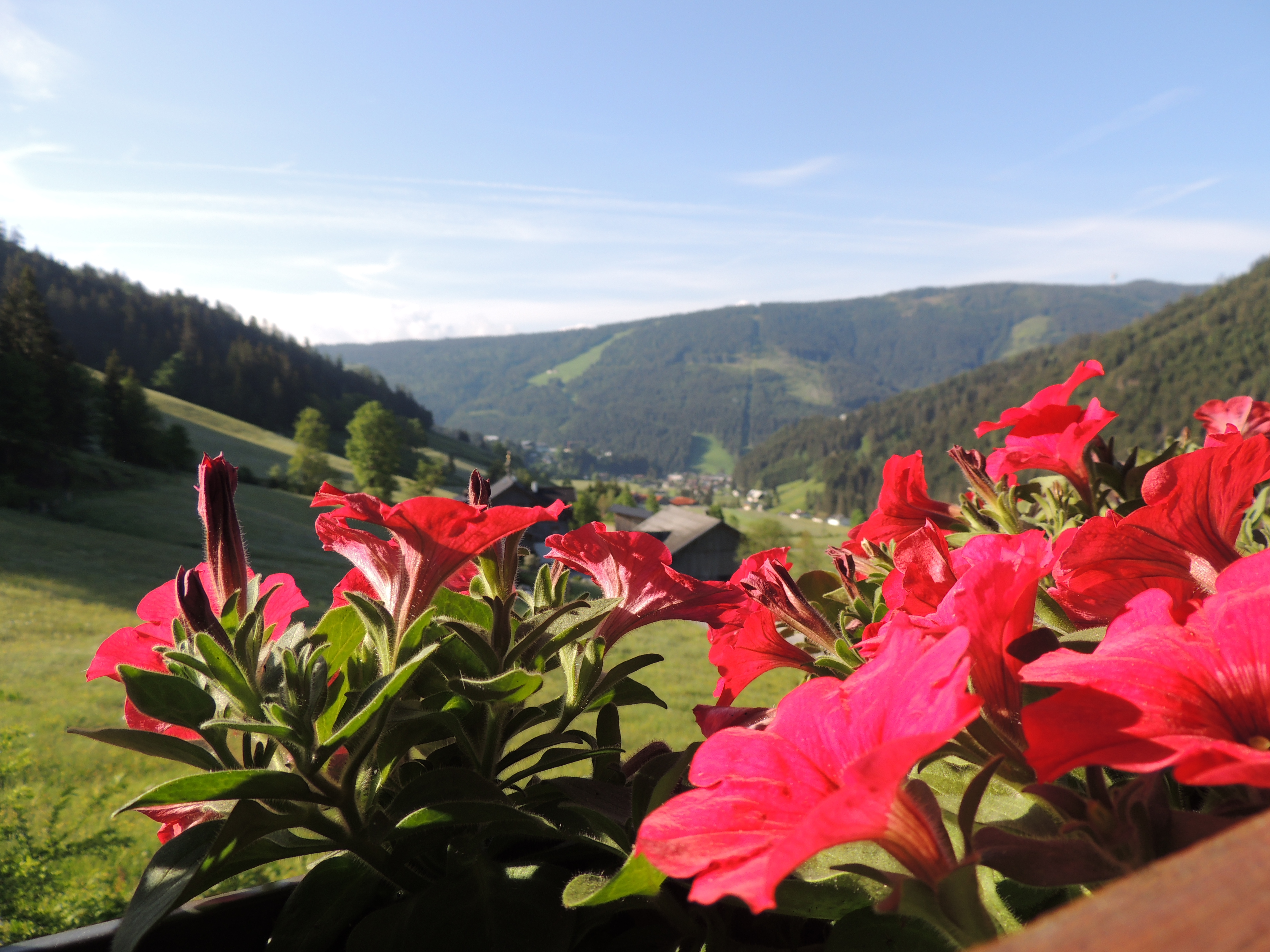 Frühstückspension: Blick vom Balkon - Ferienwohnungen Haus Bergfried