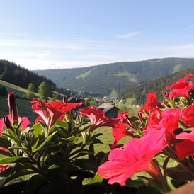 Frühstückspension: Blick vom Balkon - Ferienwohnungen Haus Bergfried