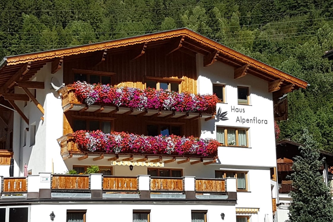 Frühstückspension: Pension Haus Alpenflora
