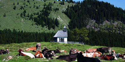 Pensionen - Art der Pension: Frühstückspension - Seewalchen am Attersee - Wanderparadies Postalm bei Strobl - Appartementhaus Grill