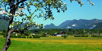 Pensionen - Art der Pension: Frühstückspension - Seewalchen am Attersee - Frühlingsstimmung - Appartementhaus Grill