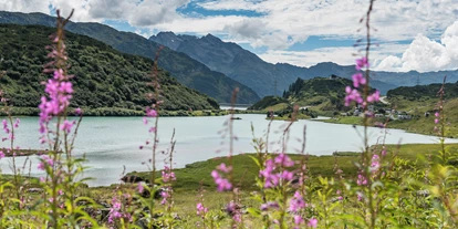 Pensionen - Garten - St. Gallenkirch - Haus Zeinissee
