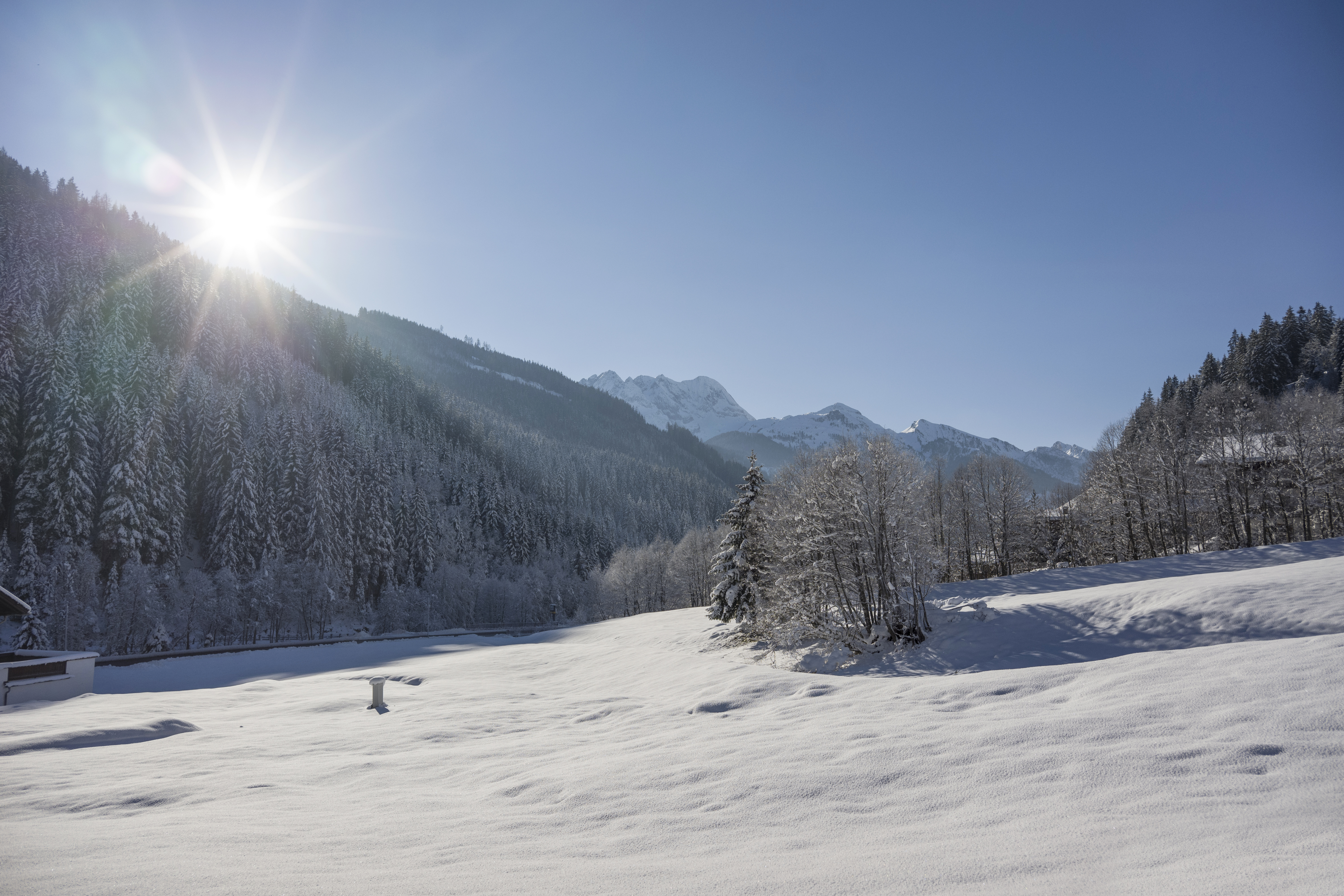 Frühstückspension: Ausblick Winter - Anja's Schönblick - Bed & Breakfast