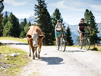 Pensionen - Parkplatz: kostenlos bei der Pension - Alpbach - MTB Panoramaweg zur Kreuzwiese - Anja's Schönblick - Bed & Breakfast