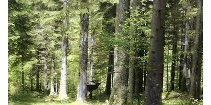 Pensionen - Steinbach an der Steyr - Bio- Ferienhof Kreilgut