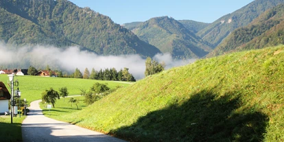 Pensionen - Steinbach an der Steyr - Aussicht vom Lehnerhof - Lehnerhof
