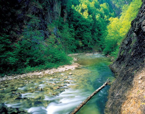 Lehnerhof Ausflugsziele Nationalpark Kalkalpen