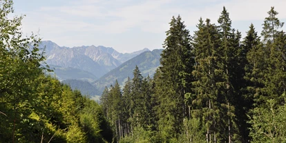 Pensionen - Balkon - Oberstdorf - verschiedenste Wanderungen von leicht bis Klettern möglich - Landhaus Wildschütz - Ferienwohnung mit Königscard