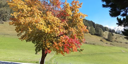 Pensionen - Frühstück: Frühstücksbuffet - Osttirol - unser Aahornbaum in voller Pracht - Bergerhof
