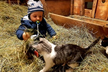 Frühstückspension: Bauernhoferlebnis für Kinder - Bergerhof