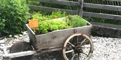 Pensionen - Frühstück: Frühstücksbuffet - Osttirol - Kräuterwagen - Bergerhof