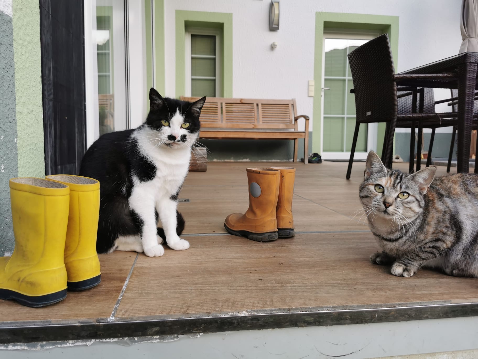 Frühstückspension: Bergerhof