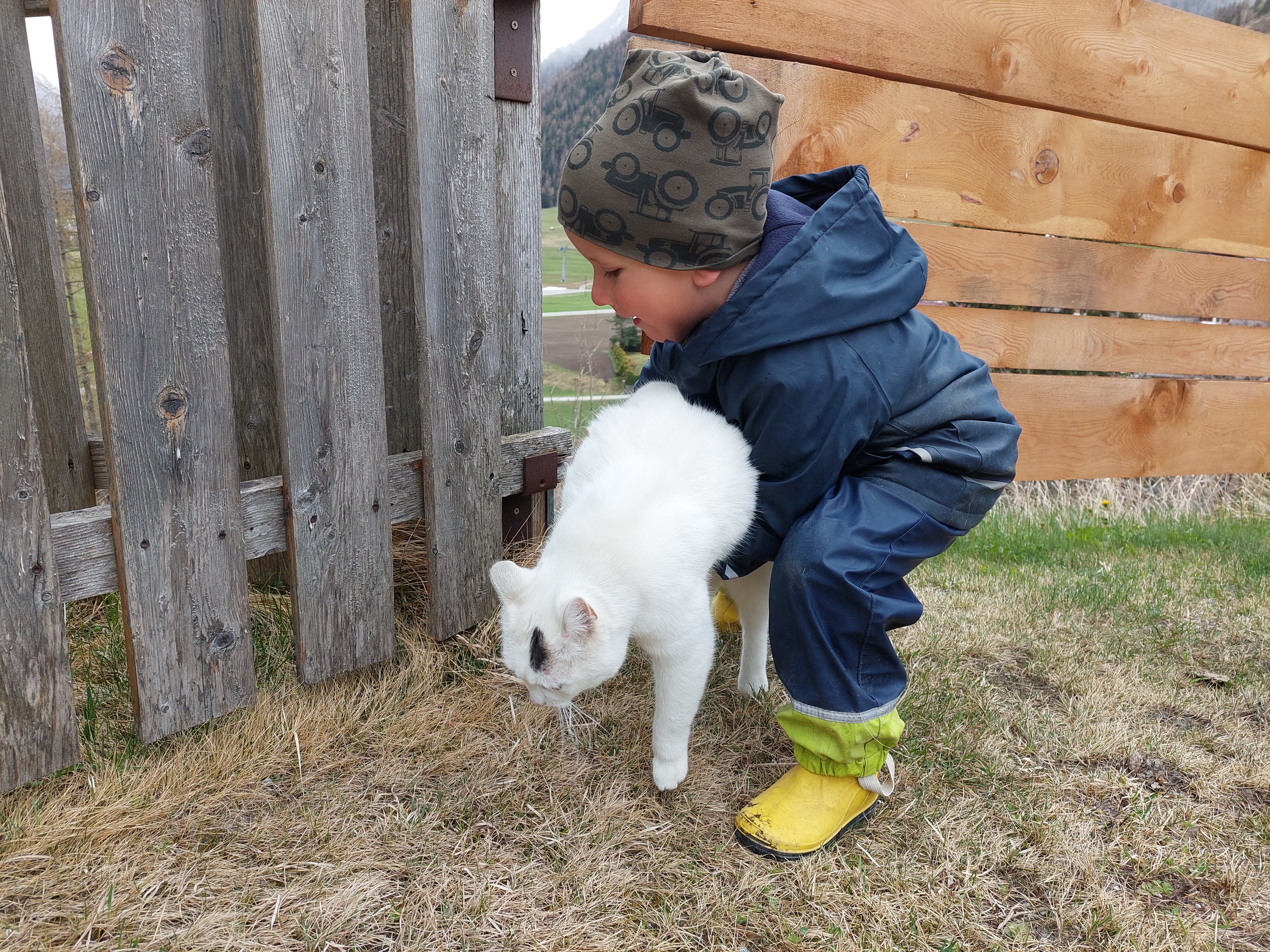 Frühstückspension: Bergerhof