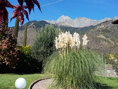 Pensionen - Restaurant - Unser Garten zur Nordseite mit herrlichem Blick auf den Naturpark Texelgruppe. Der Bekannteste Wanderweg ist der Meraner Höhenweg. - Pension Plarserhof