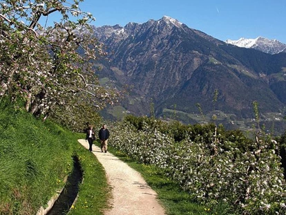 Pensionen - Restaurant - Die Umgebung von Algund bietet Wanderwege für alle Ansprüche. 160 km Waal- und Spazierwege wurden zur Mereraner Waalrunde zusammengeschlossen und Plars/Töll ist der Ausgangspunkt für die Wanderungen. Unvergessliche Bergtouren im Naturpark Texelgruppe. Selbstverständlich gibt es auch jeden Mittwoch geführte Wanderungen (organisiert mit einem Wanderexperten vom Touristikbüro Algund) Einige Wanderwege erreichen Sie vom Haus aus, oder kostenl. mit dem Bus mit der AlgundCard. Neu: Abendbus bis 22 Uhr - Pension Plarserhof